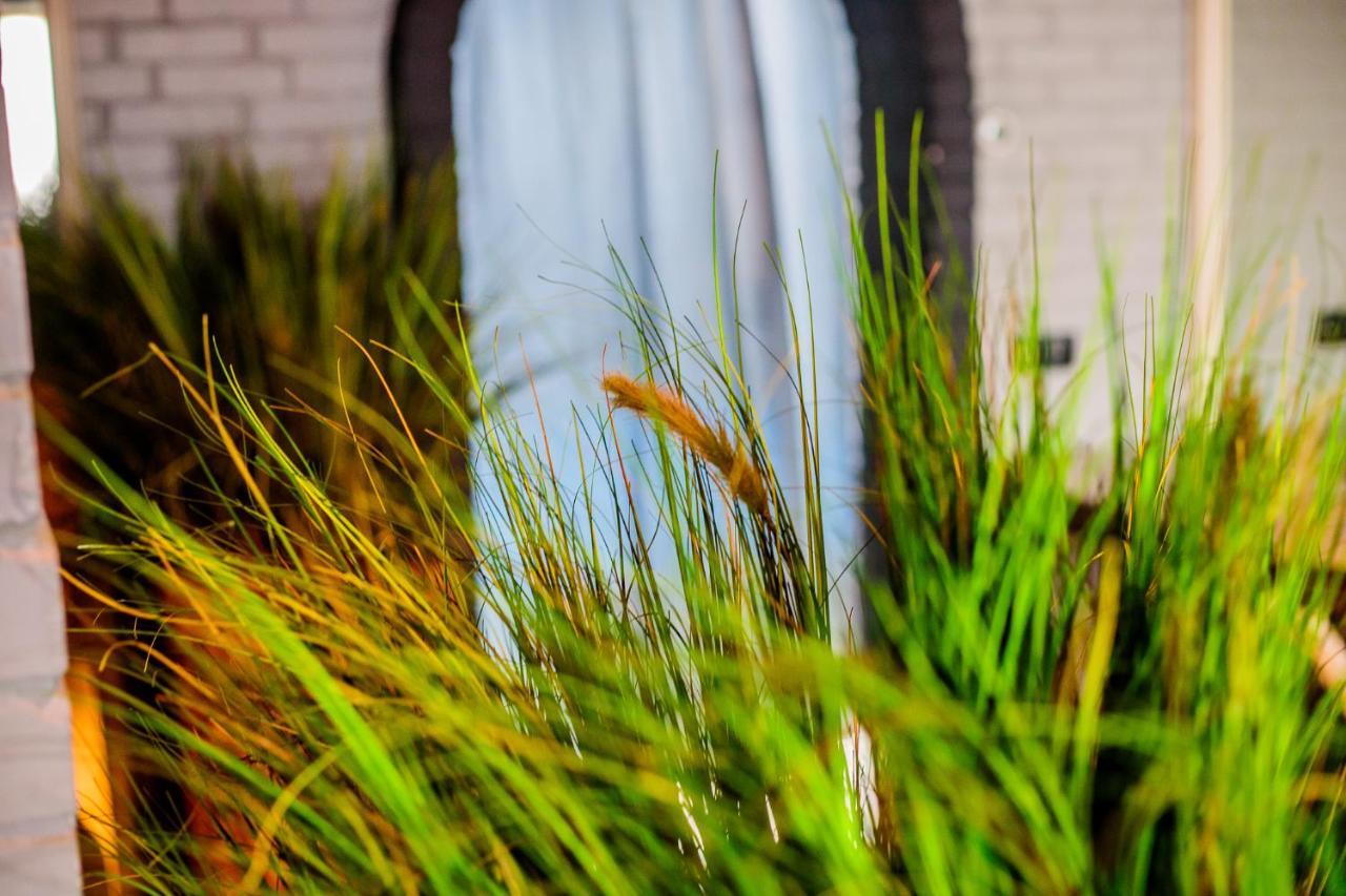 Gastenverblijf Zomerdijk メッペル エクステリア 写真